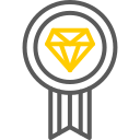 insignia icon