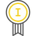 insignia icon