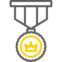 insignia icon