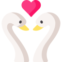 cisnes icon