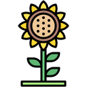 girasol icon