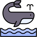 ballena icon