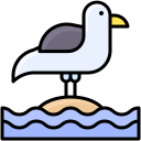 gaviota icon