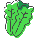 lechuga icon