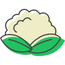 coliflor icon