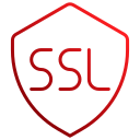 ssl icon