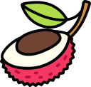 fruta icon