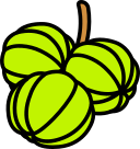 fruta icon