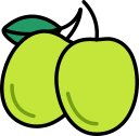 fruta icon