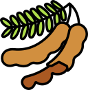 fruta icon