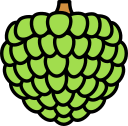 fruta icon