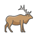 animal icon