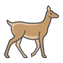 animal icon