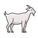 animal icon