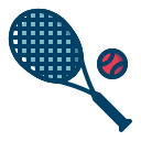 pelota icon