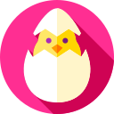 Pollo icon