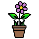 naturaleza icon