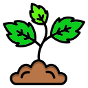 naturaleza icon