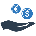 dinero icon
