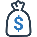 dinero icon