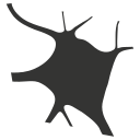cérebro 