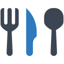 Spoon icon