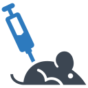 Syringe 