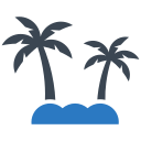 palmera icon