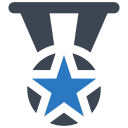 estrella icon