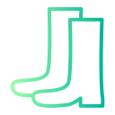 botas icon