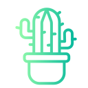 cactus icon