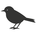 pájaro icon