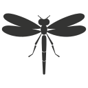 odonata 