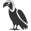 oiseau 