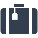 viajar icon