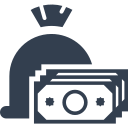 dinero icon