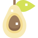 Aguacate icon