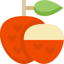 lychee icon