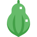 papaya icon