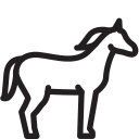 caballo 