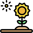 girasol icon