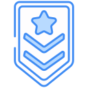 insignia icon