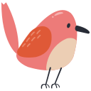 pájaro icon