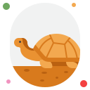 tortuga icon