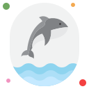 ballena icon