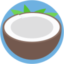 coco icon