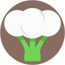 coliflor icon