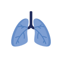 Medical 