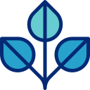 Leaves icon