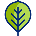 Leaf icon